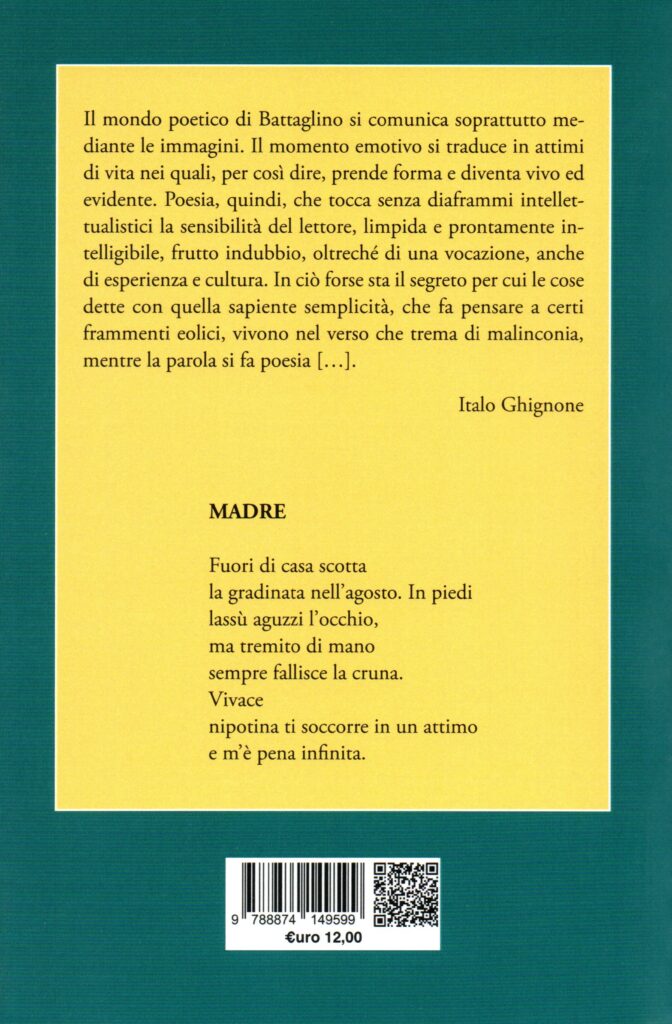 Quarta di copertina del libro