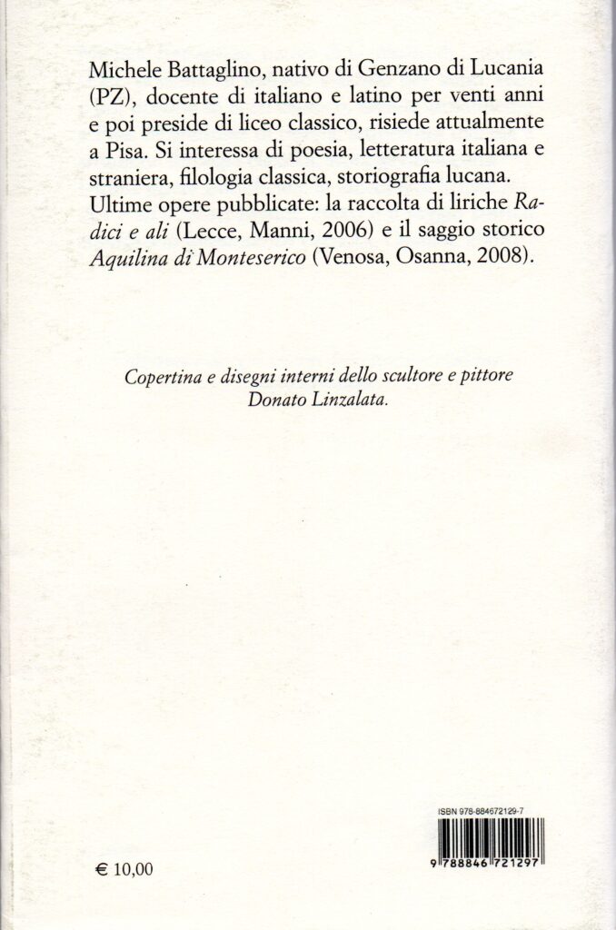 Quarta di copertina del libro